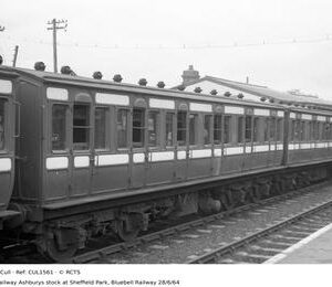 CUL1561