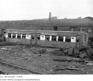 CUL1641