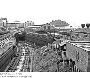 CUL1645