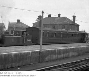 CUL1667