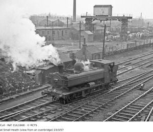 CUL1668