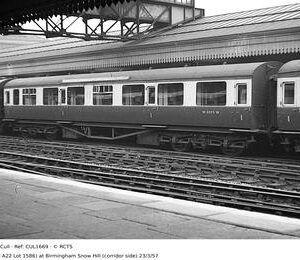 CUL1669