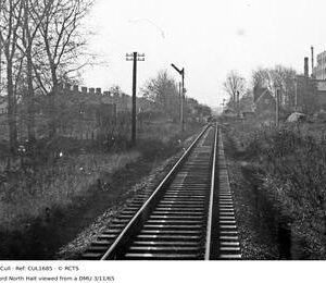 CUL1685
