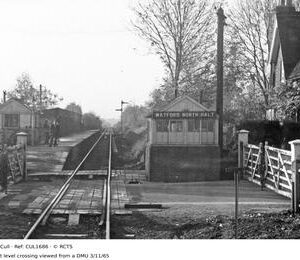 CUL1686