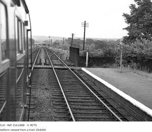 CUL1688