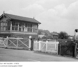 CUL1693