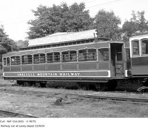 CUL1831
