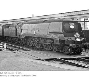 CUL1860