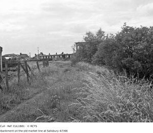 CUL1881