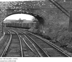 CUL1893