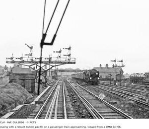 CUL1896