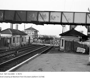CUL1899