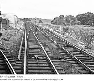 CUL1901