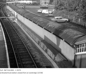 CUL1905