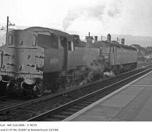 CUL1906