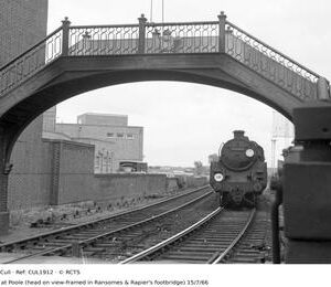 CUL1912
