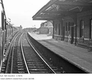 CUL1913