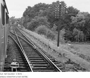 CUL1914
