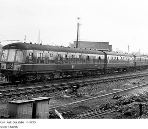 CUL1916