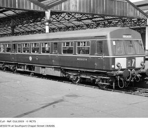 CUL1919
