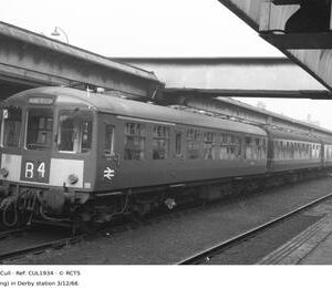CUL1934