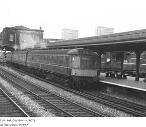 CUL1944