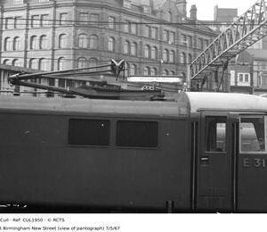 CUL1950