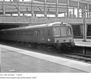 CUL1951
