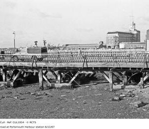 CUL1954