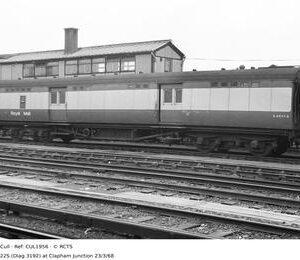 CUL1956
