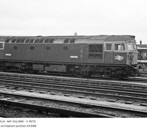 CUL1960