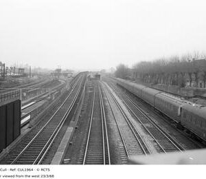CUL1964