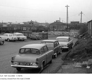 CUL1966