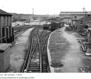 CUL1967