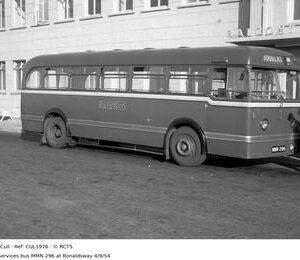 CUL1976