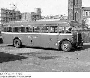 CUL1977
