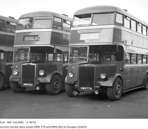 CUL1981