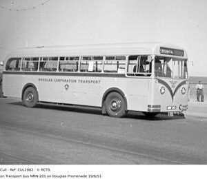 CUL1982