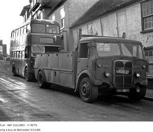CUL1983
