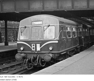 CUL1991