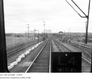 CUL1998
