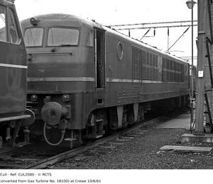 CUL2080