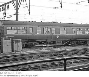 CUL2145