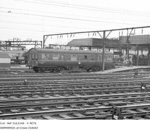 CUL2149