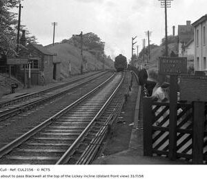 CUL2156