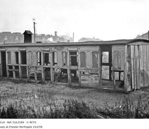CUL2194