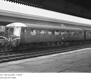CUL2196