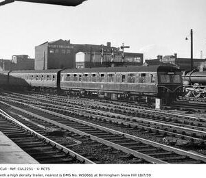 CUL2251