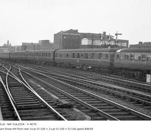 CUL2254