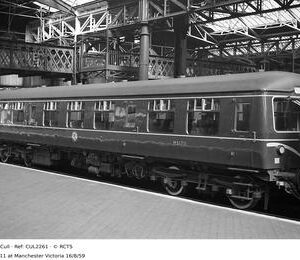CUL2261